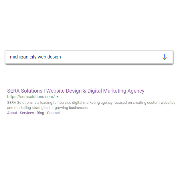sera-solutions-google-search